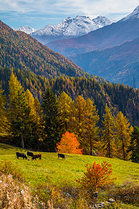 秋天意大利阿尔卑斯山的风景