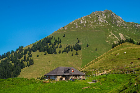 瑞士阿尔卑斯山的风景