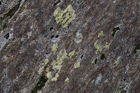 彩色岩石与地衣生长的详细视图
