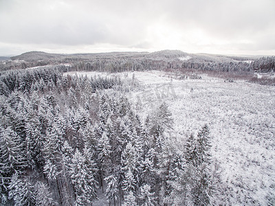 雪林