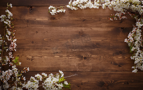 春暖花开背景摄影照片_木材纹理背景上的花