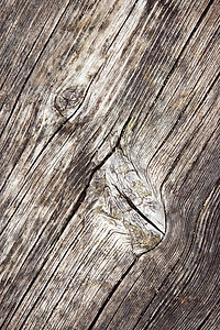 白色点线条摄影照片_旧风化木材上的凹凸形状