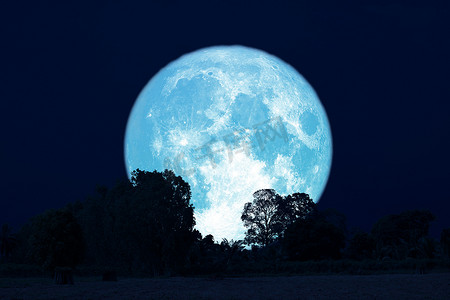 满月在夜空中回到剪影森林