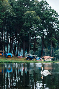 在山上露营的旅游帐篷