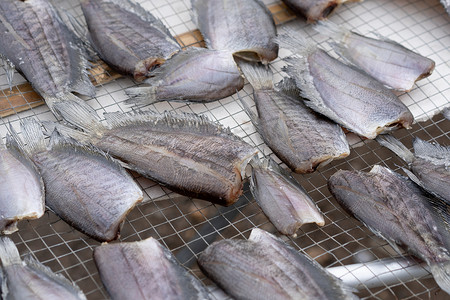 晒肉摄影照片_Trichogaster pectoralis 或蛇皮 gourami 是当地新鲜的