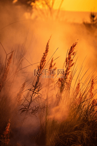 高温天气背景图片_高温天气草场火灾烟雾弥漫拍摄背景