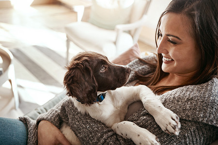 小狗、快乐和女人在家里的客厅沙发上与动物亲密地相处。
