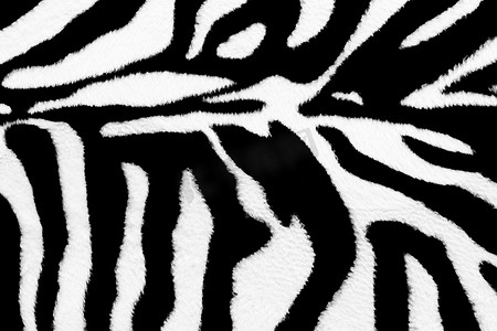 斑马动物皮抽象毛皮图案纹理设计和印刷背景