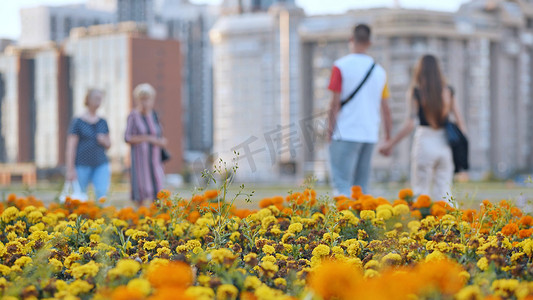 人们在城市的花坛中漫步。