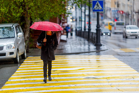 一名男子在雨中打着伞行走，脸远离镜头