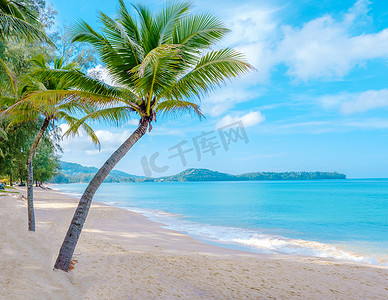 沙滩椅摄影照片_泰国普吉岛阳光明媚的日子里，邦涛海滩上有棕榈树和沙滩椅