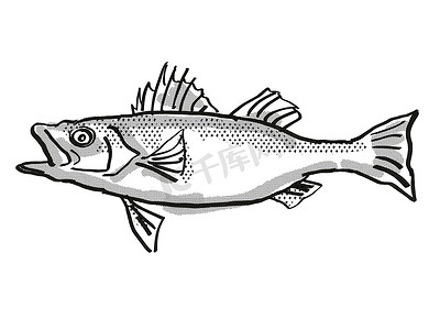 日本海鲈鱼卡通复古绘图