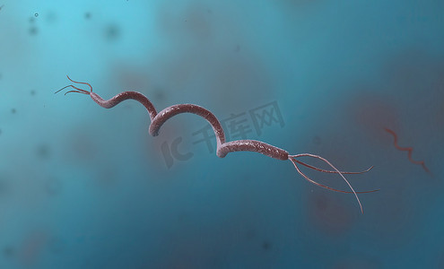 螺旋菌是一种来自变形菌门的细菌，具有螺旋形细胞形态。