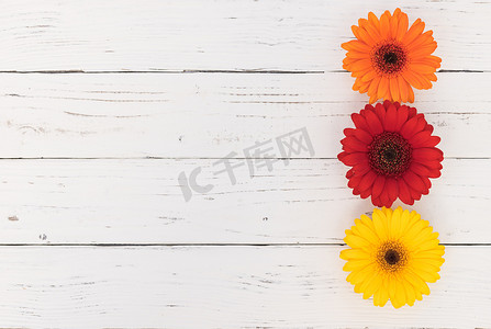 橙色生日摄影照片_白色木质背景上的红色、橙色和黄色花朵