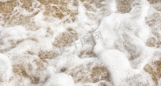 沙子里的海泡沫