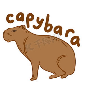 手绘动物摄影照片_手绘插图可爱的水豚动物在白色背景上的米色棕色。