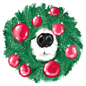 绿色手绘圣诞树摄影照片_绿色圣诞花环红色装饰品中宠物狗黑鼻子的手绘插图。
