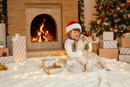 圣诞节前夕，快乐的女孩在家里和她最喜欢的宠物玩耍，穿着休闲装和圣诞老人​​帽，孩子看着小狗，在装饰精美的客厅里铺着柔软的白色地毯。