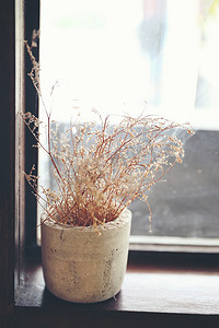 木窗花瓶中的干植物花