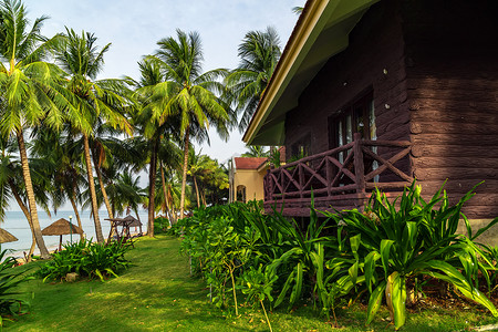 棕榈椰子树露台花园家具被绿色包围