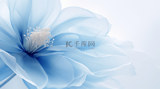 花瓣摆台背景图片_蓝色柔软的花瓣纹理背景