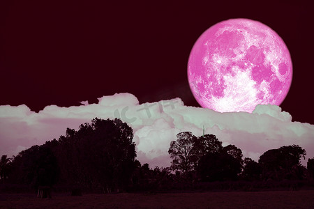 满月在夜空中回到剪影森林
