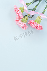 白色鲜花摄影照片_美丽、优雅的粉红色康乃馨花在明亮的浅蓝色桌子背景上，母亲节鲜花礼物的概念，顶视图，平躺，头顶