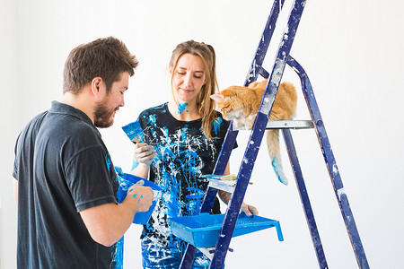 宠物、重新装修和关系概念 — 年轻有趣的夫妇与猫在新公寓进行装修