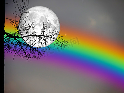 满月和彩虹背剪影在夜空中的干棕榈树