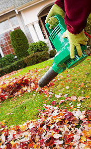秋天用电动鼓风机清洁前院的树叶