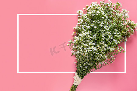 创意最小的春天新鲜的白色花束隔离在粉红色背景与白色边框和复制空间贺卡或邀请卡上的文字