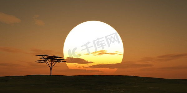 大太阳日落树景观，3d 插图