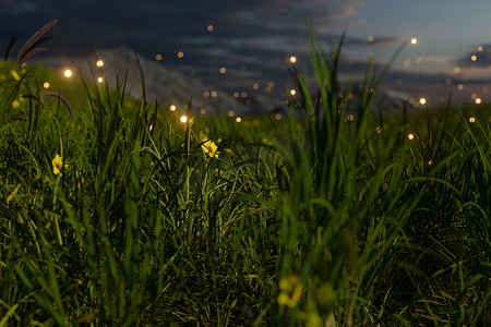 在草地上飞行的萤火虫，3D 渲染。