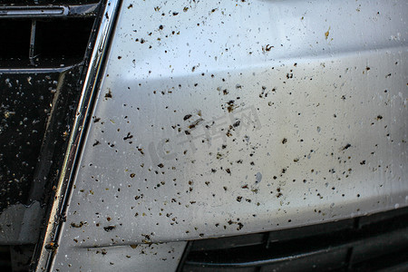 汽车前保险杠上有死虫子，上面涂有昆虫清洁喷雾