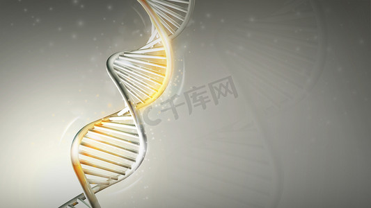 DNA 模型与浅灰色背景上的金色光芒，3D 渲染。