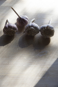 用于食品和秋季种植的大蒜头，与垂直复制空间紧密相连。