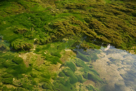 石子摄影照片_带藻类的尖锐湖底