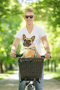 法国斗牛犬在城市公园的自行车篮中享受骑行