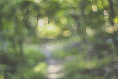 离焦摄影照片_模糊绿树背景和阳光散景上的自然绿叶离焦隧道
