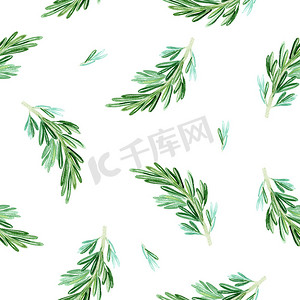 手绘绿色植物背景摄影照片_白色背景上的绿色迷迭香树枝水彩无缝图案
