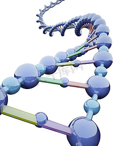 金属 DNA 链