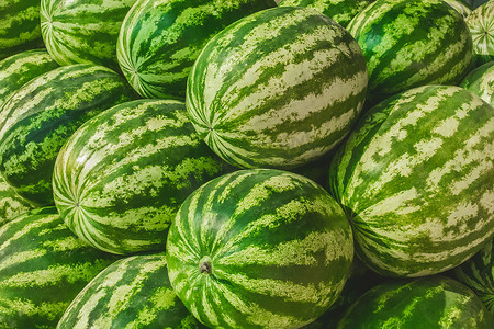 背景市场上一堆新鲜的绿色西瓜，特写