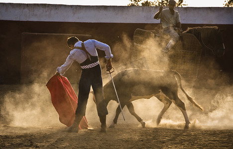 西班牙斗牛士大卫·瓦连特 (David Valiente) 在西班牙的帐篷里