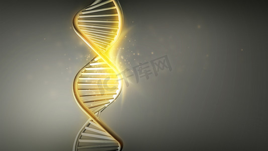 双胞胎dna摄影照片_DNA 链双螺旋的金色光芒，3D 渲染。