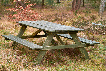 在偏远草地上的木凳和桌子，可以在外面的森林里野餐。