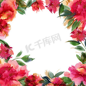 粉红牡丹植物水彩花卉小品框架