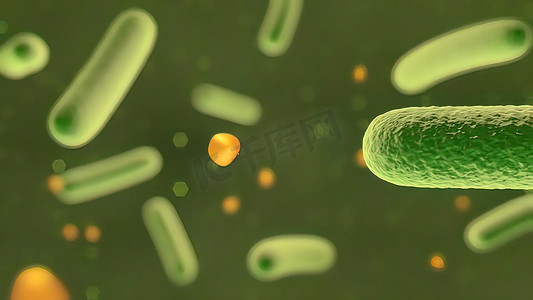 显微摄影照片_细菌的显微可视化。
