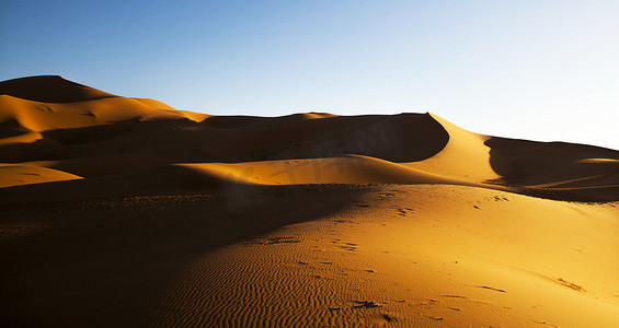 风景如画的撒哈拉沙漠景观