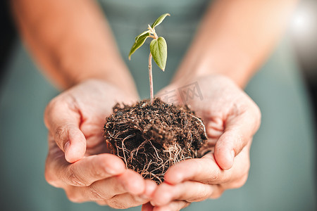 商务人士手持种子植物、土壤生长，以提高环保意识或在生态友好型绿色公司中实现可持续发展。