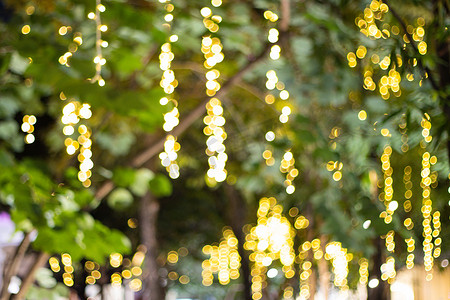 夜间花园树上挂着装饰性户外串灯